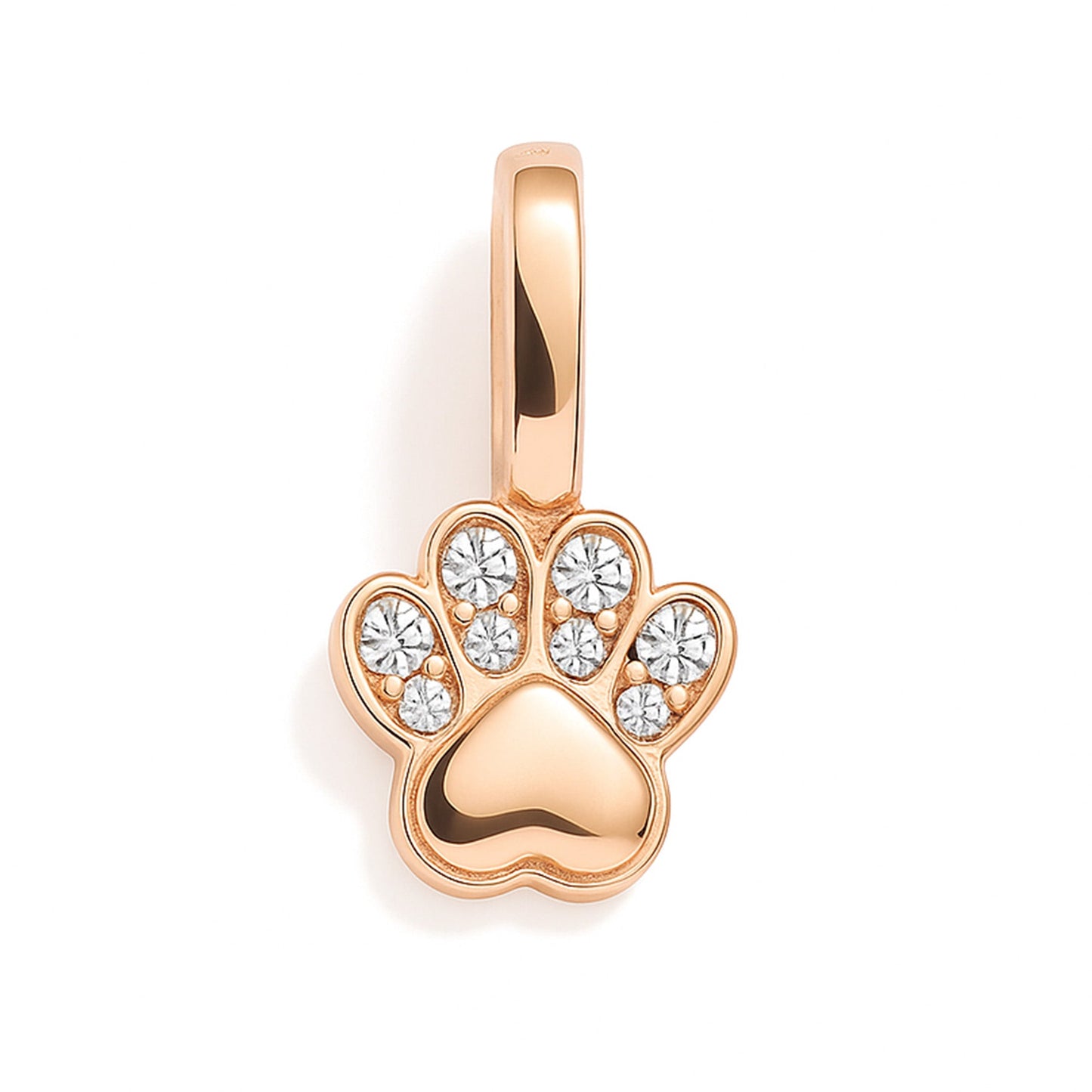 Charm - Paw